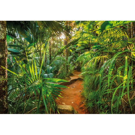 Papier Fototapete - Jungle Trail - Größe 368 X 254 Cm