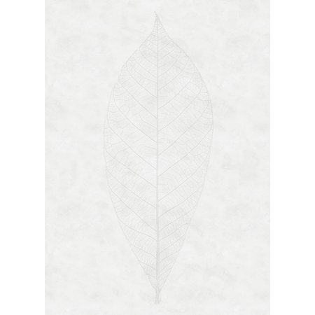 Vlies Fototapete - Decent Leaf - Größe 200 X 280 Cm