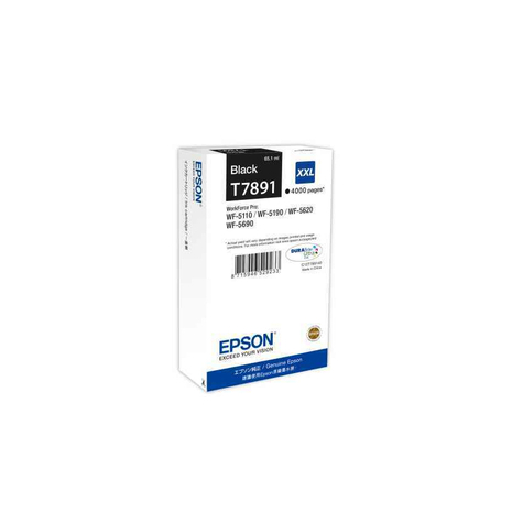 Epson C13t789140 Druckerpatrone T7891 Xxl Schwarz 4,000 Seiten