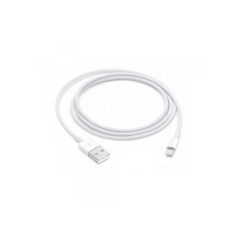 Apple Lightning To Usb Cable (1 M)