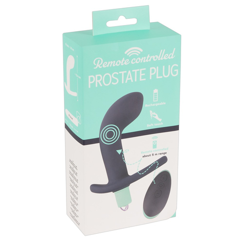 Remote Controlled Prostate Plug