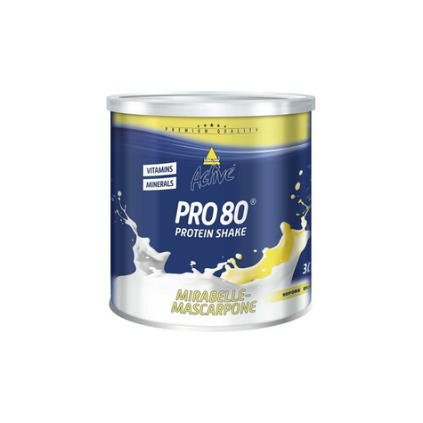 Inkospor Active Pro 80, 750 G Can