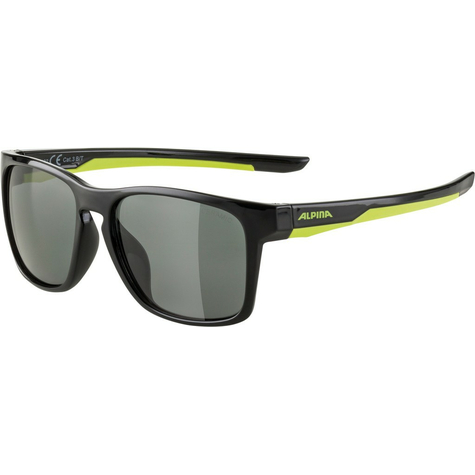 Sunglasses Alpina Flexxy Cool Kids I