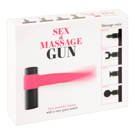 Liebesmaschine Sex & Massage Gun