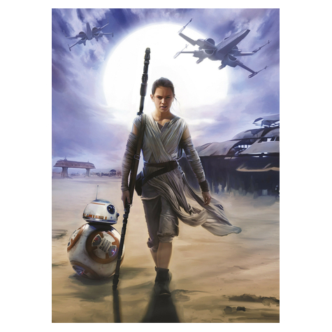 Papier Fototapete - Star Wars Rey - Größe 184 X 254 Cm