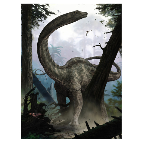 Non-Woven Wallpaper - Rebbachisaurus - Size 184 X 248 Cm