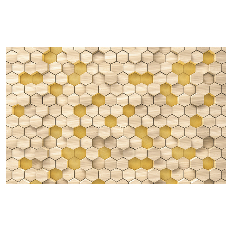 Vlies Fototapete - Woodcomb Birch - Größe 400 X 250 Cm