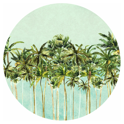 Selbstklebende Vlies Fototapete/Wandtattoo - Coconut Trees - Größe 125 X 125 Cm