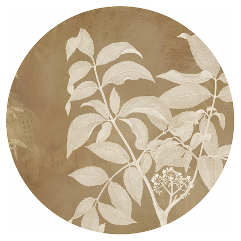 Self-Adhesive Non-Woven Wallpaper / Wall Tattoo - Blooming Branch - Size 125 X 125 Cm