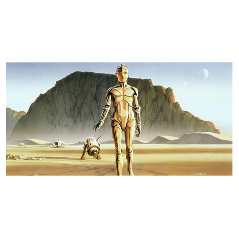 Non-Woven Wallpaper - Star Wars Classic Rmq Droids - Size 500 X 250 Cm