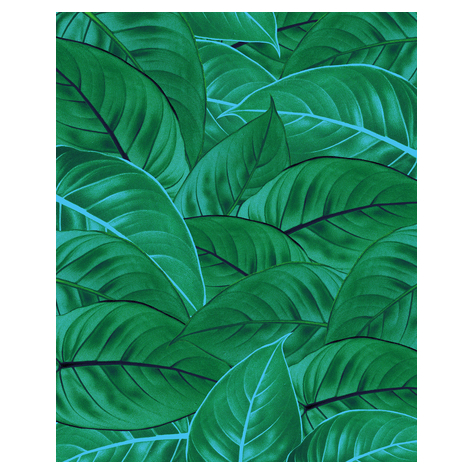 Non-Woven Wallpaper - Jungle Leaves - Size 200 X 250 Cm