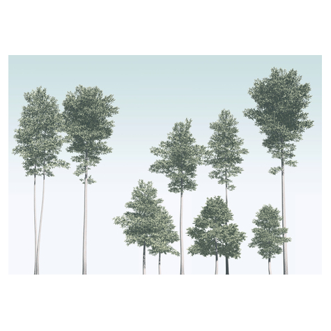 Vlies Fototapete - Pines - Größe 400 X 280 Cm