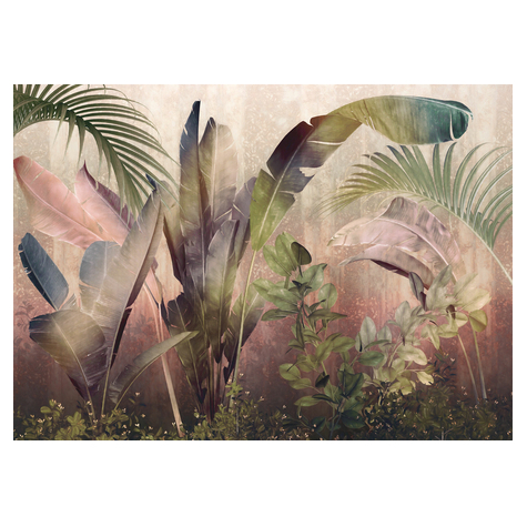 Vlies Fototapete - Rainforest Mist  - Größe 350 X 250 Cm