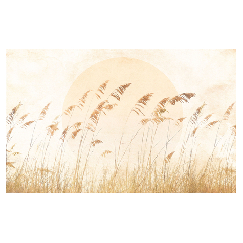 Non-Woven Wallpaper - Dune Grass - Size 400 X 250 Cm