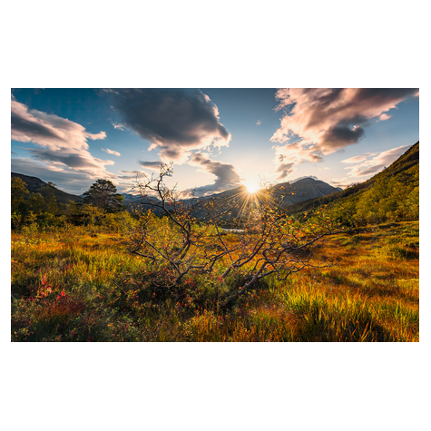 Vlies Fototapete - Norwegische Herbstwelten - Größe 450 X 280 Cm