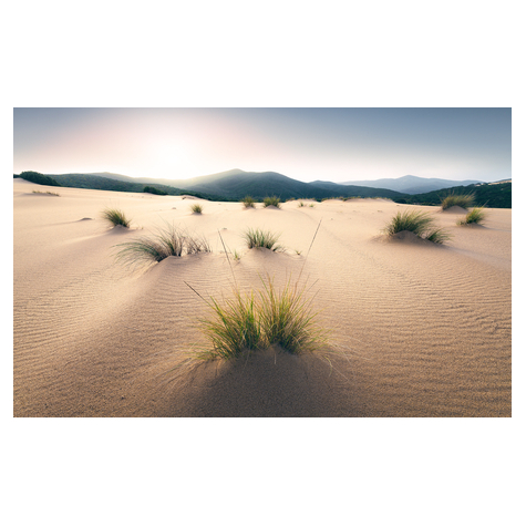 Vlies Fototapete - Vivid Dunes - Größe 450 X 280 Cm