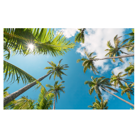 Vlies Fototapete - Coconut Heaven Ii  - Größe 450 X 280 Cm
