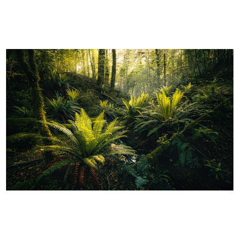Vlies Fototapete - Fjordland Woods  - Größe 450 X 280 Cm