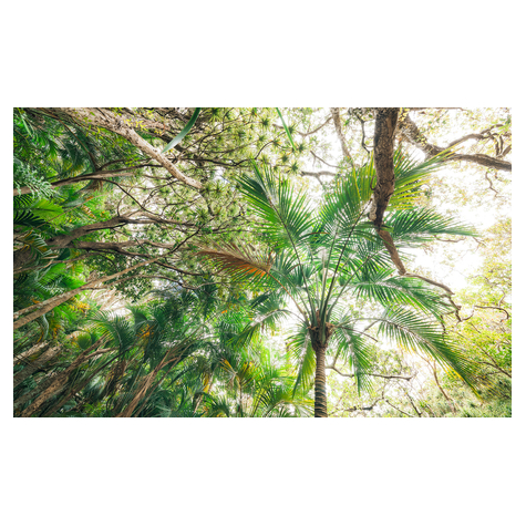 Vlies Fototapete - Touch The Jungle  - Größe 450 X 280 Cm
