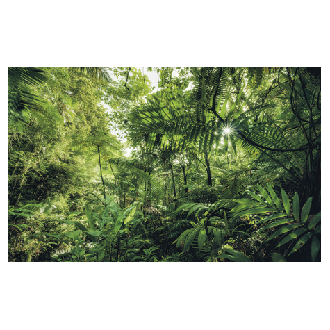 Vlies Fototapete - Into The Jungle - Größe 400 X 250 Cm