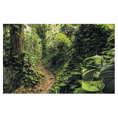 Vlies Fototapete - Path Of Dreams - Größe 400 X 250 Cm