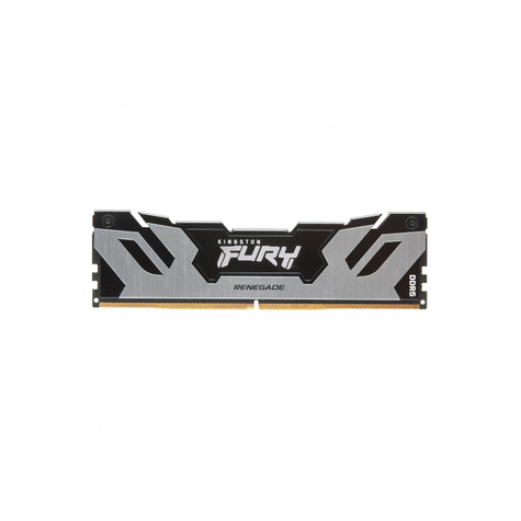 Kingston Fury Renegade 16gb 6400mt/S Ddr5 Cl32 Dimm Silver Kf564c32rs-16