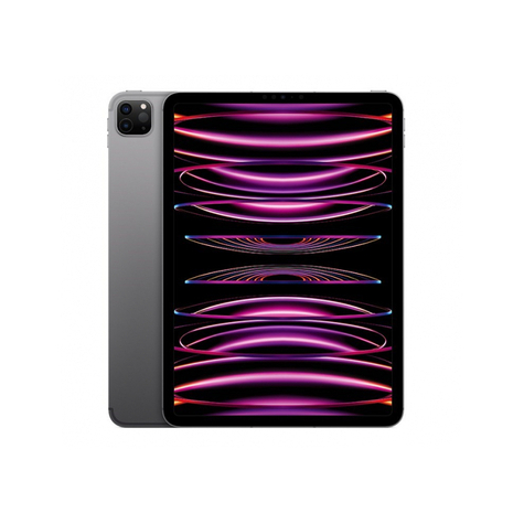 Apple Ipad Pro 11 Wi-Fi + Cellular 512gb Space Gray 4th Gen. Mnyg3fd/A