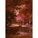 Non-Woven Wallpaper - Autumna Rosso - Size 200 X 280 Cm