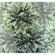 Non-Woven Wallpaper - Emerald Flowers - Size 300 X 280 Cm