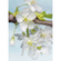 Vlies Fototapete - Blossom - Größe 184 X 248 Cm