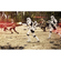Vlies Fototapete - Star Wars Imperial Strike - Größe 400 X 250 Cm