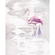 Vlies Fototapete - Pink Flamingo - Größe 200 X 250 Cm