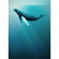 Vlies Fototapete - Artsy Humpback Whale - Größe 200 X 280 Cm