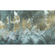 Vlies Fototapete - Misty Jungle - Größe 400 X 250 Cm