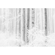 Vlies Fototapete - Winter Wood - Größe 400 X 280 Cm