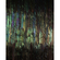 Vlies Fototapete - Dark Wings  - Größe 200 X 250 Cm