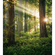 Vlies Fototapete - Goblins Woods - Größe 250 X 280 Cm