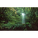 Vlies Fototapete - Secret Veil  - Größe 450 X 280 Cm