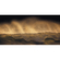 Vlies Fototapete - Golden Wave - Größe 200 X 100 Cm